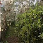 Ca' Da Giuvanna Apartment *